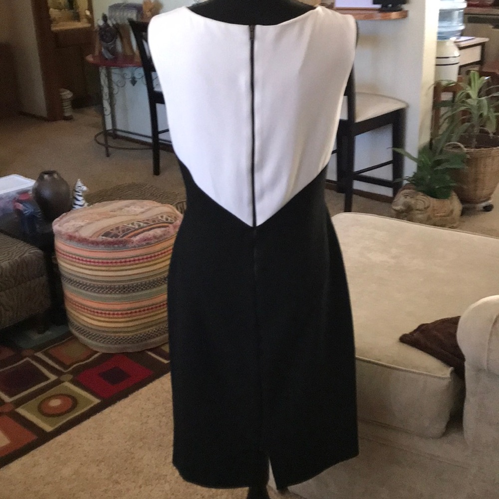 Zara Basic White & Black Bodycon Dress - Picture 4 of 5